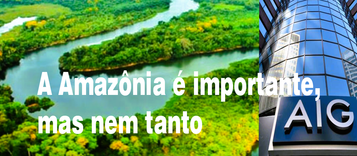 A Amazônia é importante mas nem tanto 1