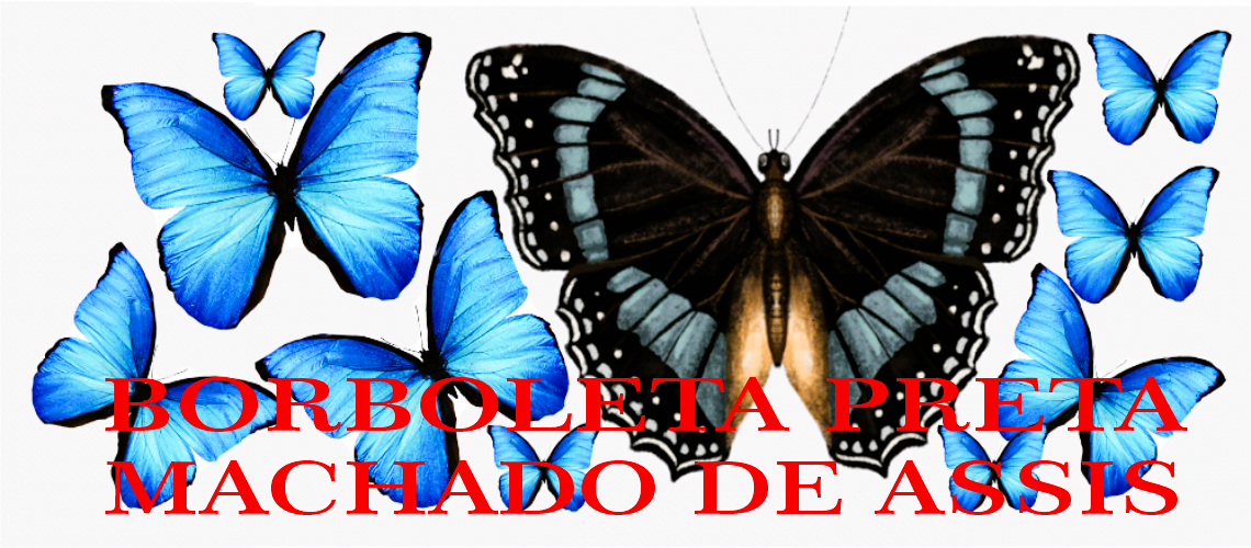 Borboleta preta Machado de Assis 2