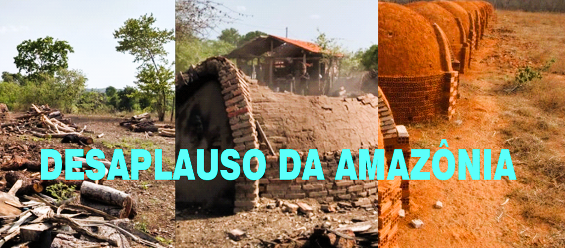 Desaplauso da Amazônia 1