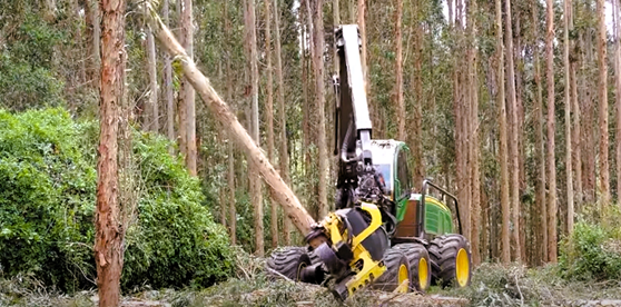 Equipamento de derrubar árvores 2