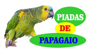 Piadas de papagaio